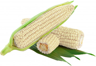 White Corn