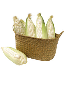 White Corn